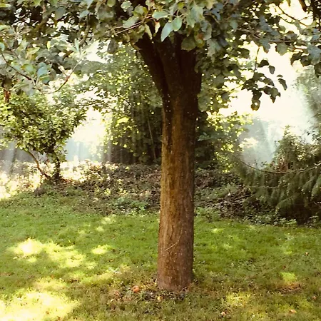 Normandia Parfum De Pommes Et D'histoire *