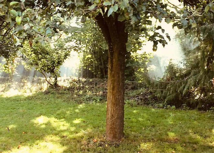 Normandia Parfum De Pommes Et D'histoire *